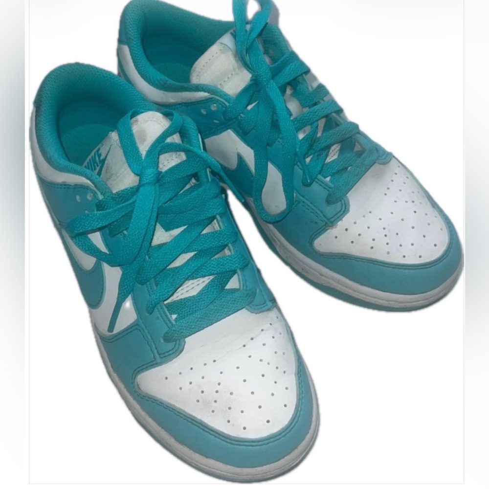 Nike Dunk Low Next Nature in Dusty Cactus Size 7